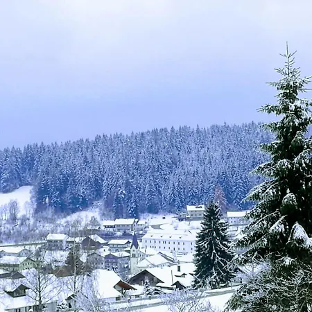 Daire Mit Weitblick Und Late Check-out Inklusive Aktivcard *
