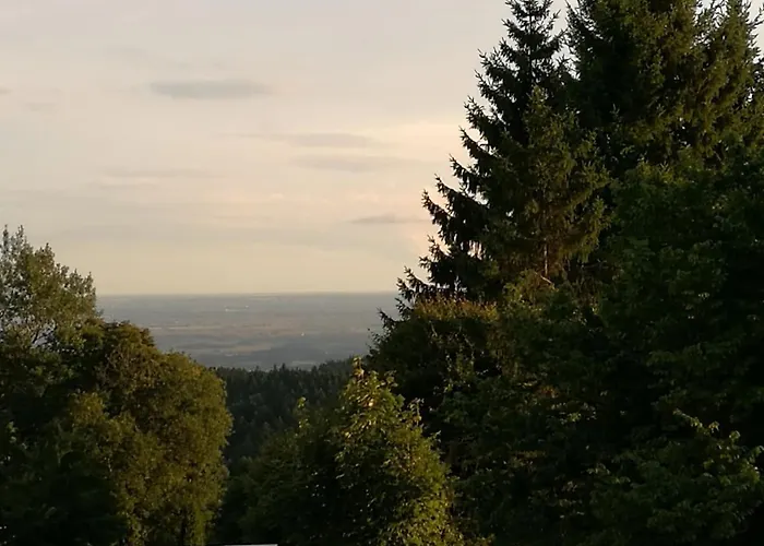 Mit Weitblick Und Late Check-out Inklusive Aktivcard דירה סנקט אנגלמר